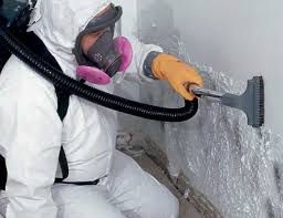 Best Mold Removal for HVAC Installations  in Westwood, KS